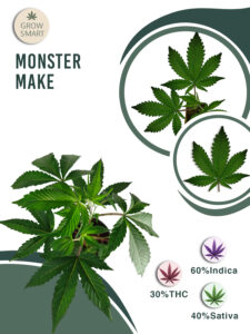 Monstermaker 30% THC