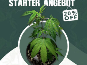 Starter - Paket (20%)