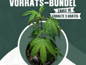 Grow Pro (30 + 10)