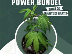 Grow Power (50 + 20)