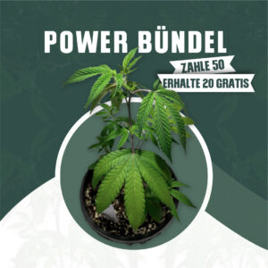 Grow Power (50 + 20)