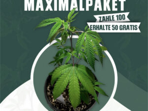 Grow Max (100 + 50)