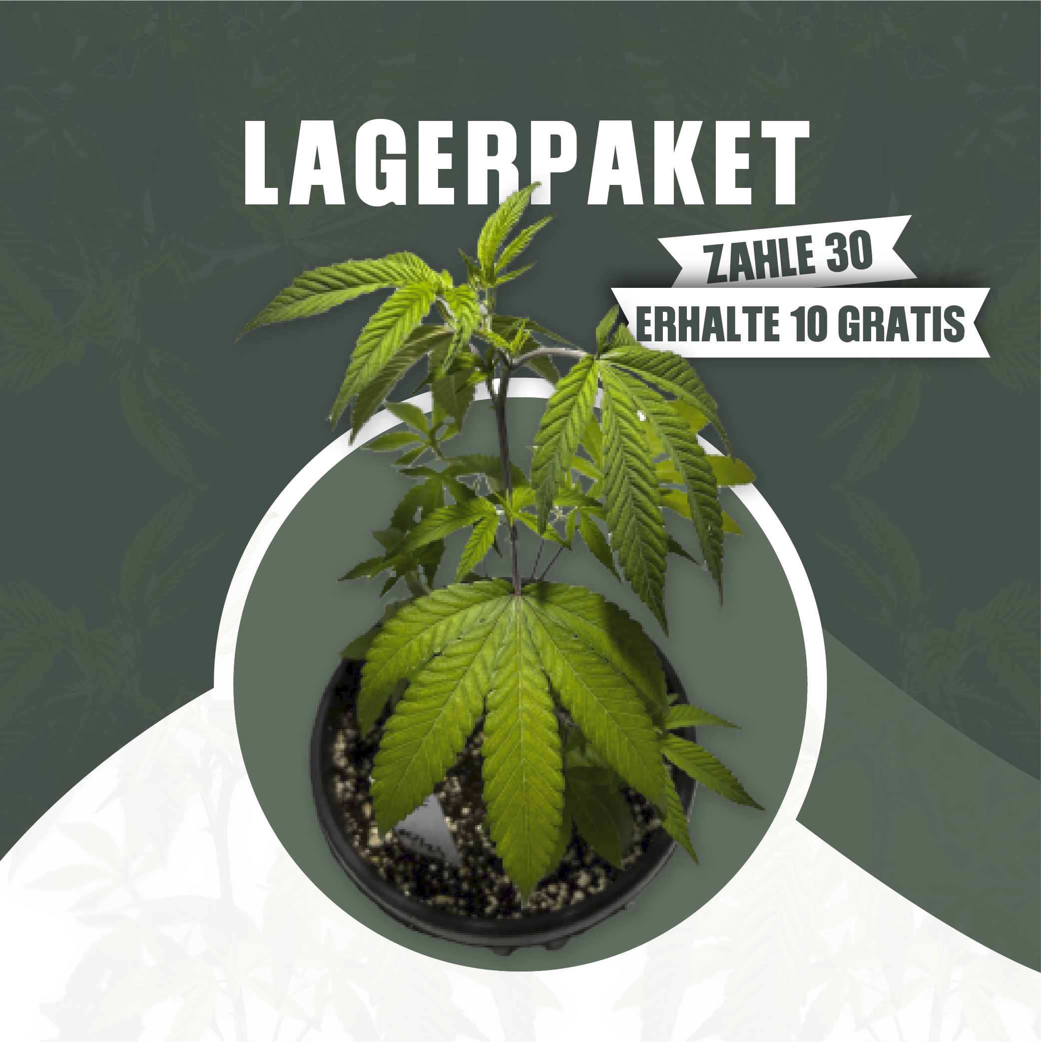 Lagerpaket-SLIDER-02